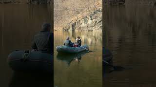 Զանգակ-բամբակ