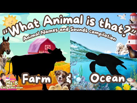 Toddler Learning "What Animal is that?" | Farm and Ocean Animal Names and Sounds Compilation