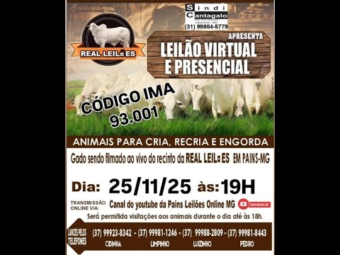 136º Leilão Virtual - Real Leilões - Pains MG