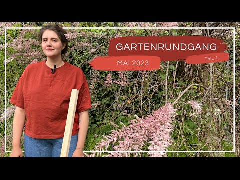 Die Tamariske blüht | Gartenrundgang Mai 2023 - Teil 1 | Follow me around