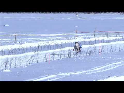 Suomen Porokilpailijat – livestriimi Kuusamo LA