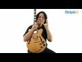 "Mississippi Queen" by Mountain Practice Cover ...