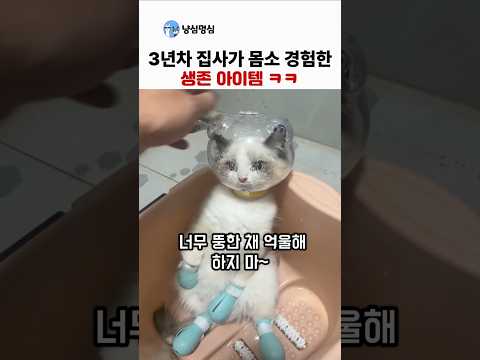 3년차 집사가 몸소 경험한 생존 아이템 ㅋㅋ