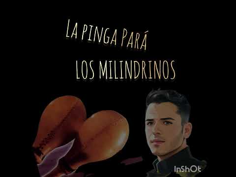 La Pinga Pará - Los Milindrinos HQ