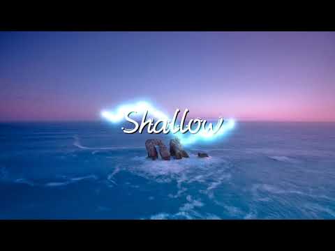 BLVCK CEILING - SHVLLOW