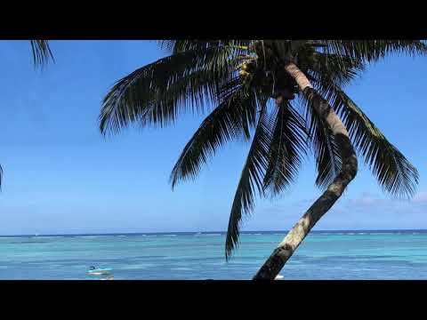 Wedding MAURITZ and OLIVIA to Mauritius by CRIANIMATION - Musica per Matrimoni (esclusivo)