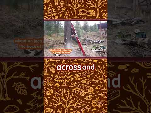 Tree Jack: 20x Safer Tree Felling (Not a Promo)