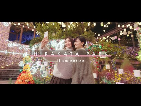 イルミネーション「光の遊園地 Flowering Illumination Rose」