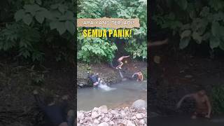 Download lagu Reasons Not to Dare to Bathe in the Forest River mp3