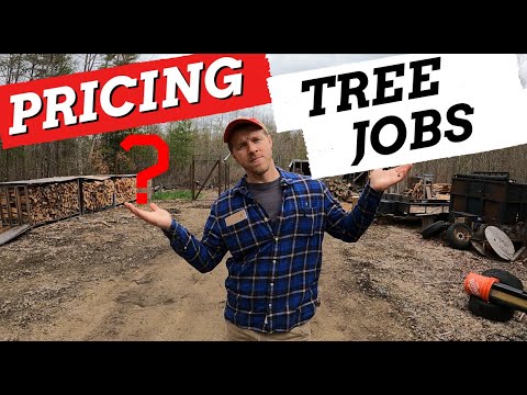 How To Price Out A Tree Job? Non Professional Version!