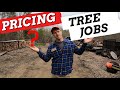 How To Price Out A Tree Job Non Professional Version