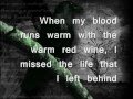 The Longer I Run- Peter Bradley Adams (Lyrics)