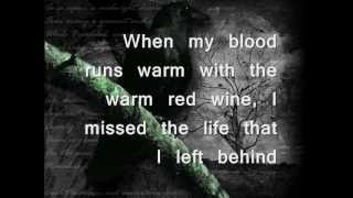 The Longer I Run- Peter Bradley Adams (Lyrics)