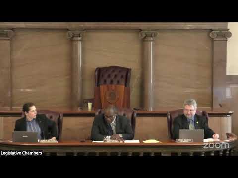 May 19, 2025 Planning and Economic Development Committee Meeting