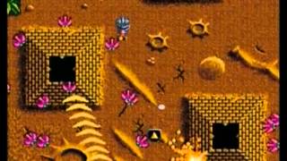 LETHEL XCESS - 2 PLAYER (AMIGA - FULL GAME)