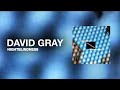 David Gray - Nightblindness (Official Audio)