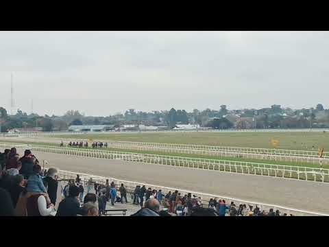 Superior Ave - Campeones Mile