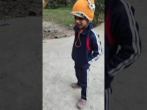 Dog  song ❤️❤️#trending #viral#music #song #video #shorts