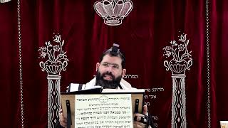 זבחים דף כ"ח ע''א ¤ הרב נתנאל אברז'ל ¤ בית הכנסת "בית מרדכי" (מוסדות תורת דוד) - התמונה מוצגת ישירות מתוך אתר האינטרנט יוטיוב. זכויות היוצרים בתמונה שייכות ליוצרה. קישור קרדיט למקור התוכן נמצא בתוך דף הסרטון