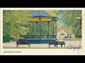 Graham Coxon - Alright (Official Visualiser)