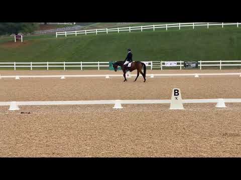 Vaya Con Dios - YEH-5 Dressage