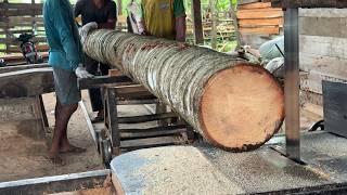 Causes of Sawmill Blades Becoming Dull Quickly When Cutting Coconut Wood 5x7