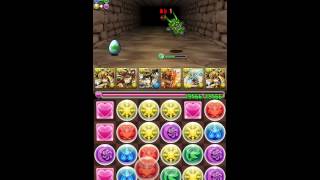 【パズドラ】水曜ダンジョン 地獄級 孫悟空安定周回