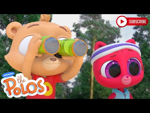On The Look Out | The Polos | Adventure Learning | Learn At Home - Kingdom Kids Zone, Little Learners - The Polos and MarcoPolo Learning