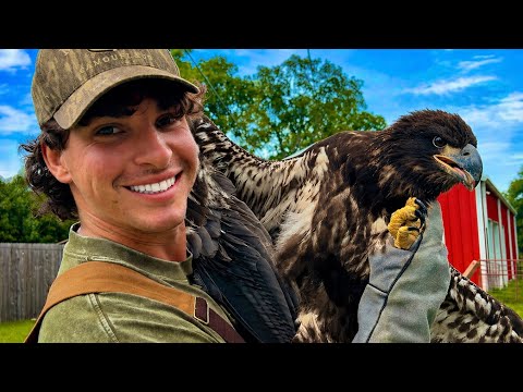 How to Catch and Cook a Bald Eagle