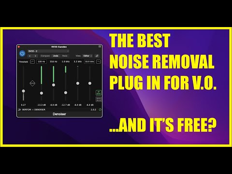 Is Bertom DeNoiser the Best Noise Removal Plug In for Voice Over?