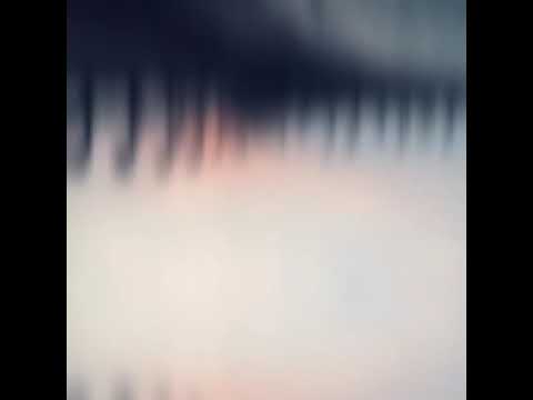 Wir machen einen Ausflug