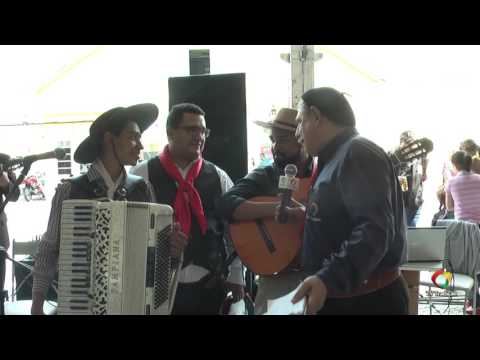 ENTREVISTA: MUSICAL - ENART 2016 - CHULA - CLASSIFICATÓRIA