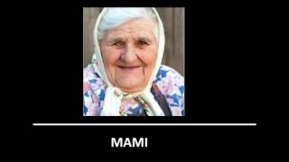 Magyar - Francia nyelvrokonság Willy William - Te Quiero magyarul [félrehallott verzió]