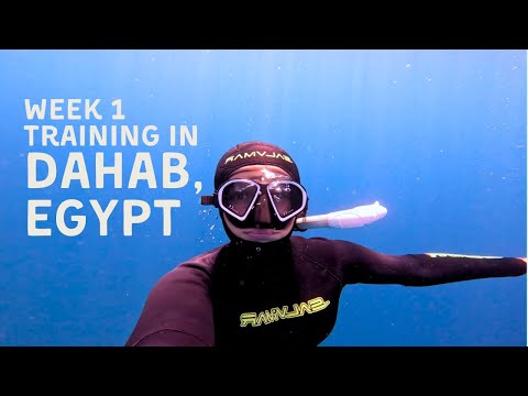 VLOG 1: Starting Our Freediving Journey in Dahab | Preparing for AIDA 4