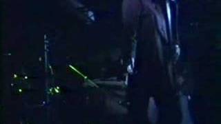 Tribe At Edible Rex &#39;89