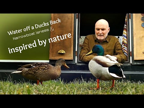 THE ANGRY MAN - Water off a ducks back VLOG 42