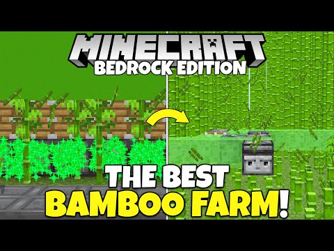 What Is The BEST BAMBOO Farm In Minecraft Bedrock Edition? (Easy Bamboo Farm Tutorial)