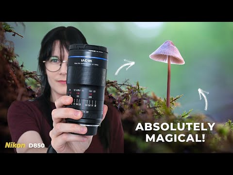 Summer Fungi Collection with the Laowa 100mm f/2.8 2x Ultra Macro APO Lens