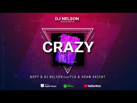 Nopy, DJ Nelson - Crazy (ft. FLA, Adam Aksent)