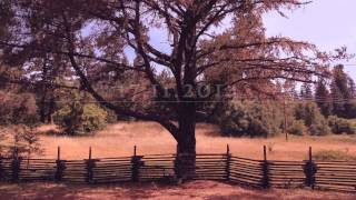 Joris Voorn - The Wild