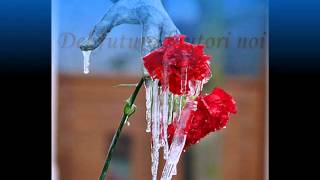 "Meggie's Theme (from "The Thorn Bird's)" di James Galway;Henry Mancini (Google Play