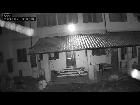 Ladri a Formigliana_23 ottobre 2019