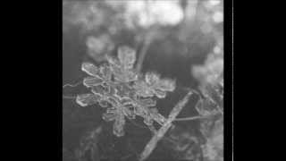 Funeral-The Stings I Carry