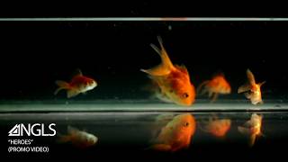 ANGLS - &quot;Heroes&quot; promo video