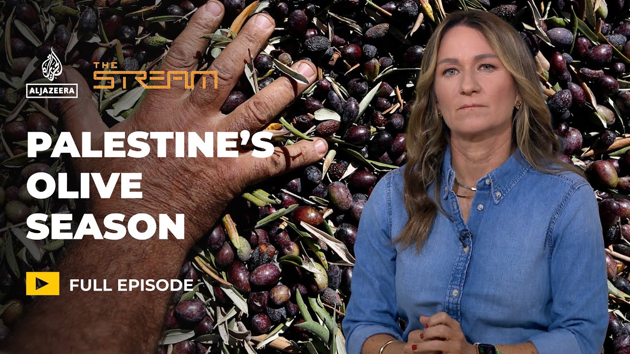 Why the Olive Harvest in Palestine Is More Than Just Farming | The Stream