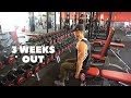 Chasing The Physique | Ep.39 Skinfolds, Posing + Shoulders & Triceps Workou
