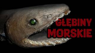 Głębiny Morskie. Stworzenia z koszmarów. Prawdziwy Horror.