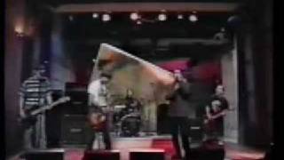 Bad Religion - Struck A Nerve (Live)