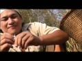 BALAM Panteode Chanchia Jiknarara
