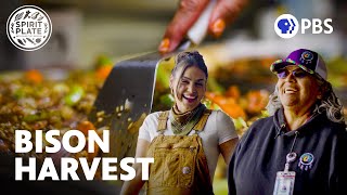 Cooking for the Powwow of a Lifetime | SPIRIT PLATE